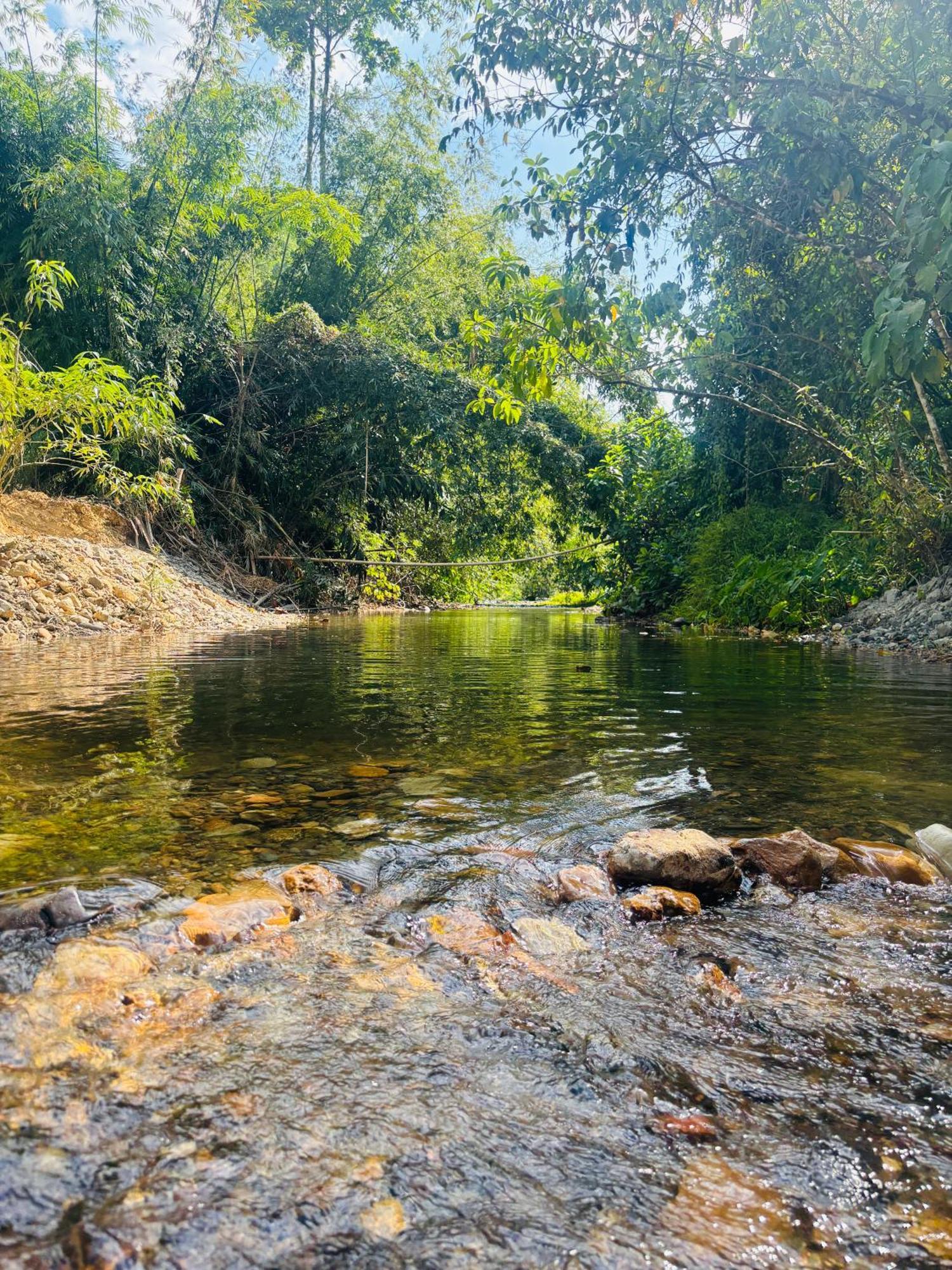 Camping Phutajoy Khaosok แคมป์ปิ้งภูตาจ้อยเขาศก Ban Thung Lang Tham Екстер'єр фото